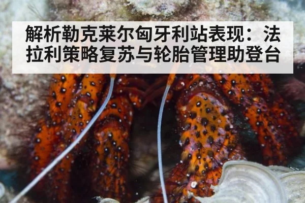 解析勒克莱尔匈牙利站表现:法拉利策略复苏与轮胎管理助登台
