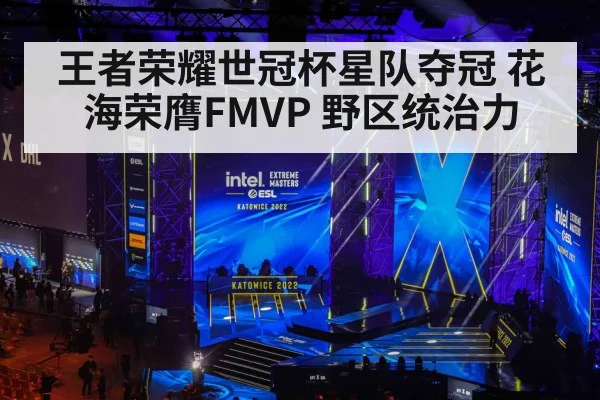 王者荣耀世冠杯星队夺冠 花海荣膺FMVP 野区统治力