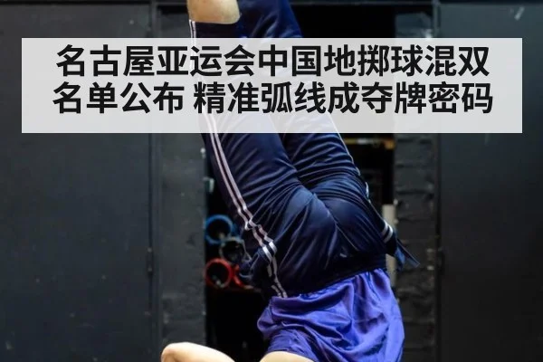 名古屋亚运会中国地掷球混双名单公布 精准弧线成夺牌密码